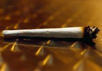 5 szál cigarettával egyezik meg egy joint károsító hatása
