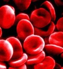 A haemoglobin-alapú vérpótló készítmények növelik a halálozás kockázatát?