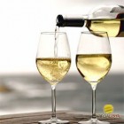 Jó bor is megárt, (h)a sok - Orvosok és borlovagok az egészséges borfogyasztásról