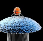 Befecskendezhetõ nanorobot agymûtétekhez