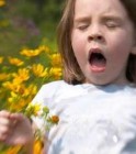 Fokozódnak a pollenek és a szennyezett levegõ által kiváltott allergiás reakciók