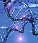 Takarékoskodó génjeinktõl hízunk?