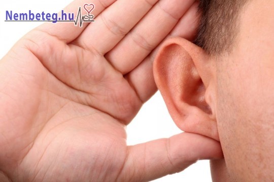A halláscsökkenés kialakulásának okai